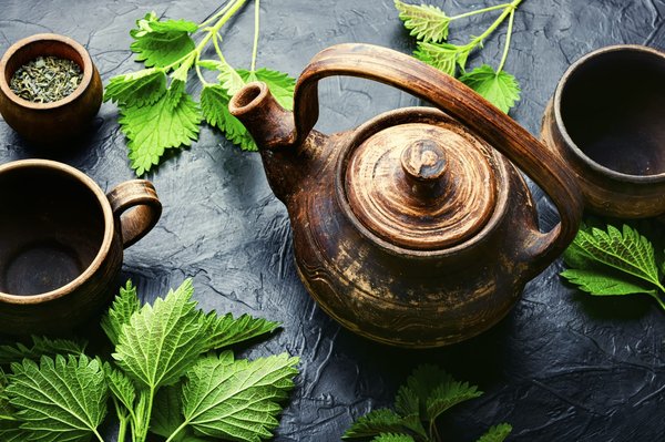 Liste des plantes sauvages comestibles