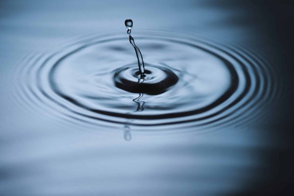 Quels sont les impacts sur la biodiversité des techniques de désalinisation de l'eau de mer ?